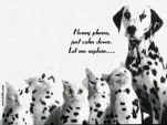 funny-picture-2103