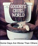 funny-picture-2686