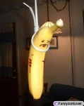 funny-picture-1556