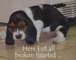 brokenhearted