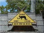 funny-picture-2692