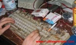 funny-picture-658