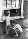 funny-picture-3395