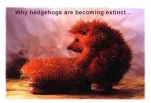 funny-picture-3504