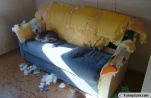 funny-picture-4197