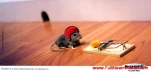 funny-picture-1283