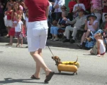 hotpuppydog