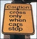 funny-picture-1000