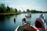 funny-picture-3660