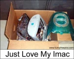 funny-picture-2953