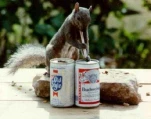 funny-picture-2422
