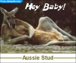 funny-picture-4780