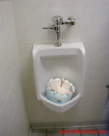 funny-picture-3445