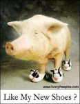 funny-picture-2901