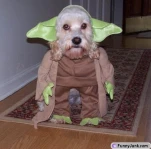 funny-picture-3297