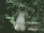 funny-picture-4736