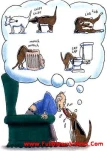 funny-picture-2316