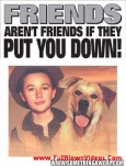 funny-picture-2101