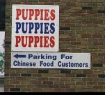 funny-picture-2010