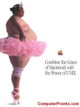 funny-picture-1594