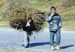 funny-picture-3620