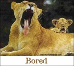 funny-picture-2804