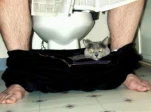 funny-picture-2059