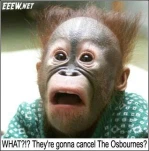 funny-picture-4070