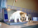funny-picture-2818