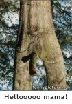 funny-picture-1610