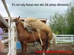funny-picture-2689
