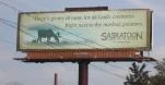 funny-picture-4665