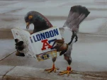funny-picture-3355
