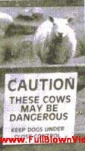 funny-picture-5353