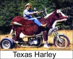 funny-picture-799