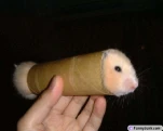 funny-picture-2164