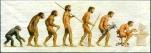 evolutionofman