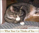 funny-picture-1674