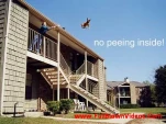 funny-picture-727