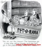 funny-picture-2497
