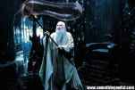 funny-picture-3537