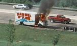 funny-picture-697