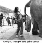 funny-picture-3713