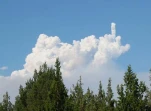 funny-picture-1120