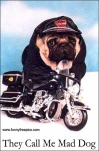 funny-picture-1029