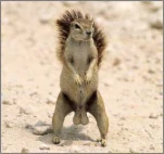 funny-picture-4431