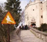 funny-picture-5080