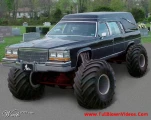 funny-picture-3572