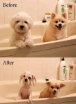 funny-picture-1630