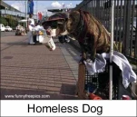 funny-picture-655
